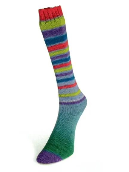 Infinity Sock Yarn by Laines du Nord