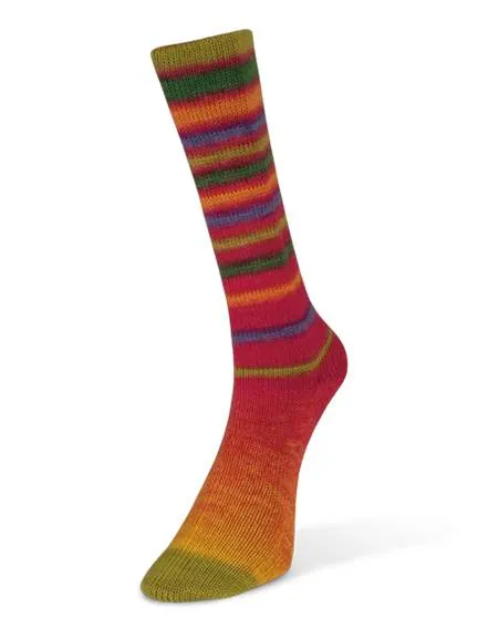 Infinity Sock Yarn by Laines du Nord